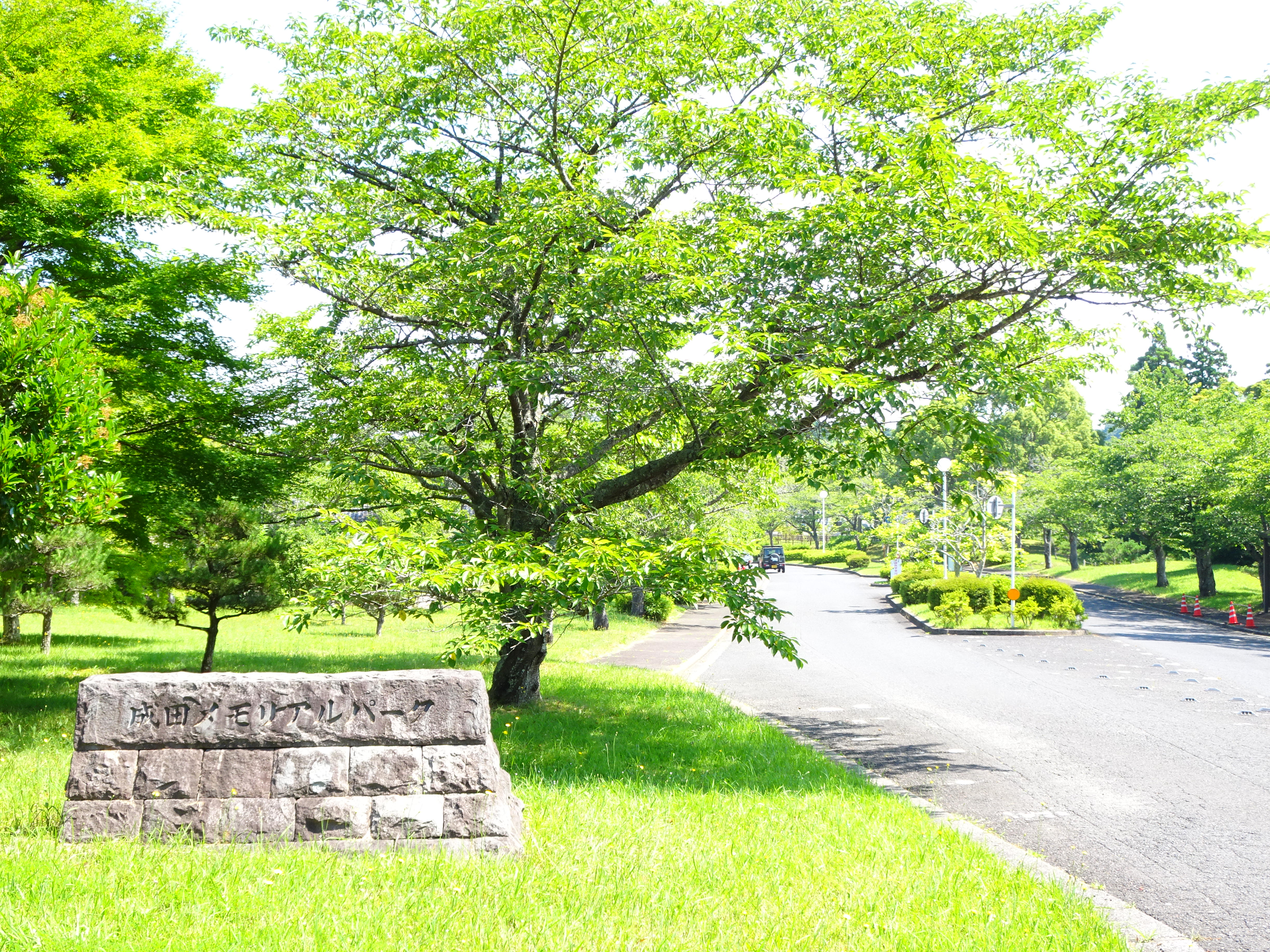 成田メモリアルパーク園内風景